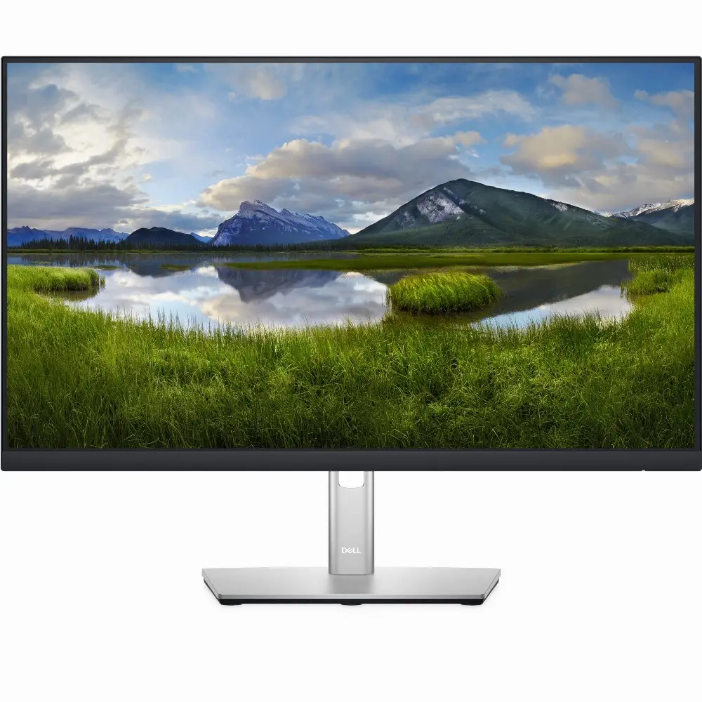 DELL P Series 24 Monitor – P2422H, 60,5 cm (23.8 Zoll), 1920 x 1080 Pixel, Full HD, LCD, 8 ms, Schwarz