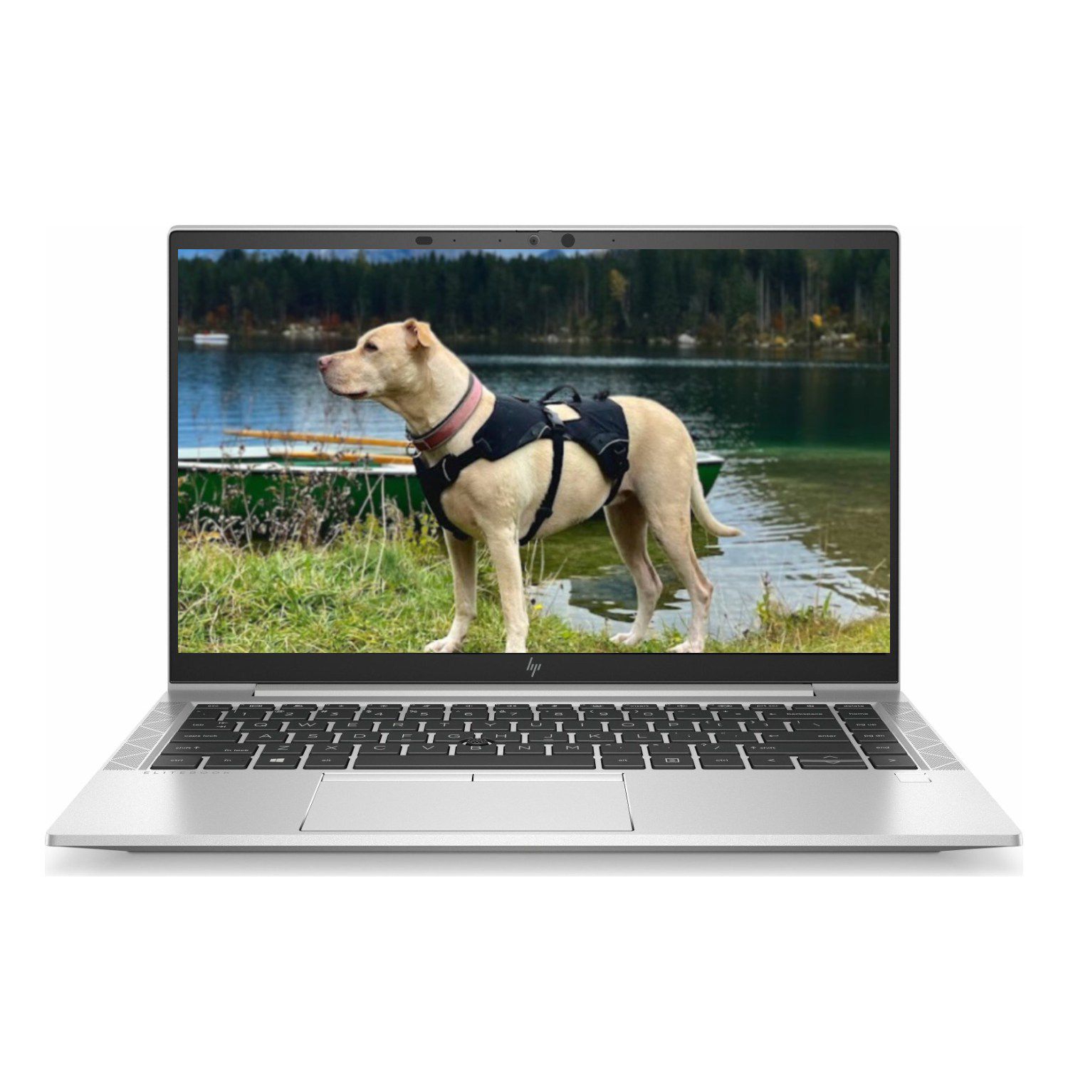 HP EliteBook 840 G7 i5 (10.Gen) FHD IPS, 8GB, 250GB NVMe, Webcam, Windows 11 Pro, Zustand: Gut
