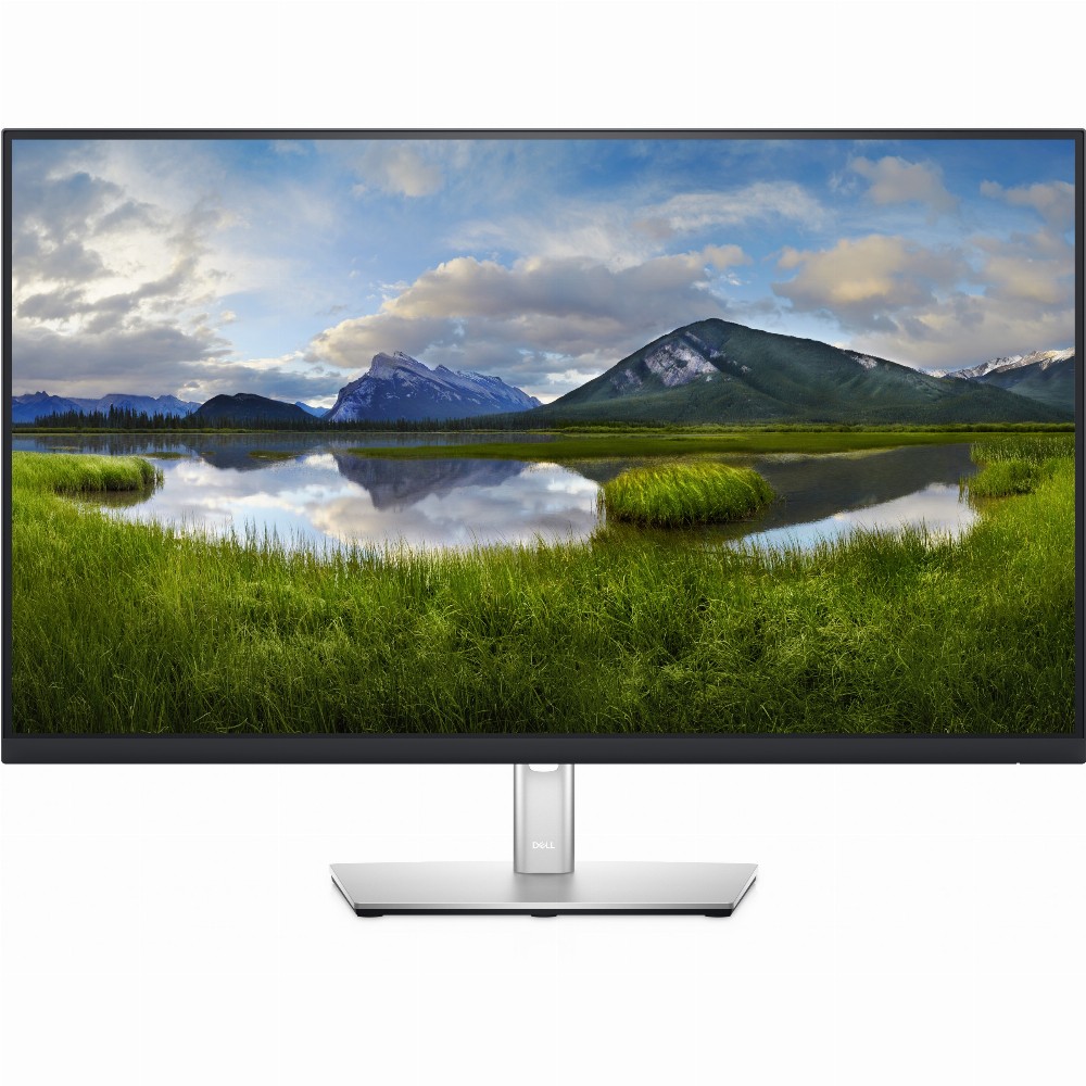 DELL P3221D, 80 cm (31.5 Zoll), 2560 x 1440 Pixel, Quad HD, LCD, 8 ms, Schwarz